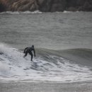 만리포니아 이미지