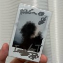 삼휴경로당 | ❥ 20251109 やくまも 1st Live ˚₊·