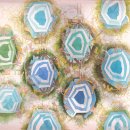 서지희 카카오 검색결과