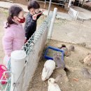 일루와농장 이미지