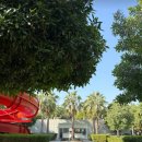 소연 카카오 검색결과