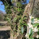 서광리-8 이미지