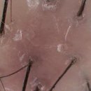 (주)프로엠 이미지