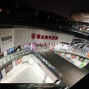 54 | 루자쭈이에서 상하이 남역 택시 이동 후기, 평일 54분 소요