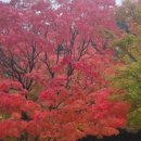 오른손 행정사사무소 이미지