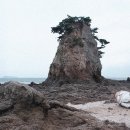 지에스25태안해안점 이미지