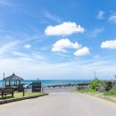 제주리조트 이미지