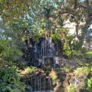 W유치원 이미지