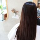 브리아3.14헤어