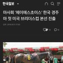 제이에스초이스 이미지