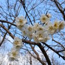 ChatGPT 탐구생활 | 그라시안의 실천적 지혜와 칸트의 윤리학