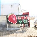 먹방농장1 이미지