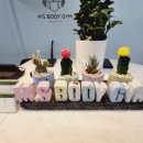 엠스바디짐 이미지