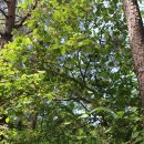 공작산주차장 이미지