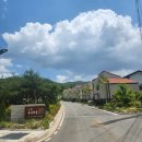 보성만나식당 이미지