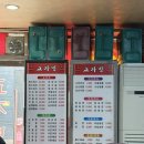 괴정동중국집 | 꾸덕한 옛날 탕수육! 괴정동 노포 중국집🍜 교자방 (내돈내산)