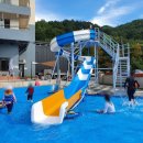 비바체(7대) 이미지