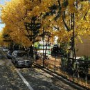 안곡로 22 이미지