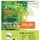 스파오가트리 이미지
