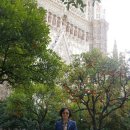 황금언덕 | [스페인] 자유여행 후기 6탄｜론다의 절벽 위에서 세비야의 황금빛 밤까지