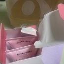 Y.P기획 | 올리브영 톤업 선크림 추천 비교 | 듀이트리, 식물나라 내돈내산 솔직후기