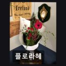493 | [대전 꽃집] 플로라혜 감각적 디자인과 세심한 포장