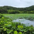 이종범농장 이미지