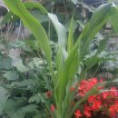 대흥농장 이미지