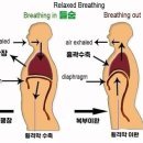 지오필라테스앤헬스 이미지