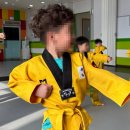 차돌태권도장 이미지