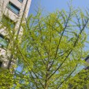 논현2동-8 이미지