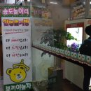 대박뽑기방 이미지