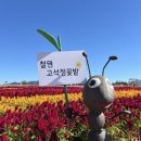 광하사우나 이미지
