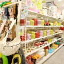 멍멍이와 야옹이 분양 미용 이미지