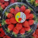 해운대푸른어린이집 이미지