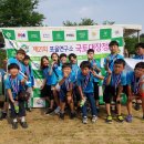 해오름 태권도장 이미지