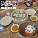 흑교사거리 | 부산 밀면 맛집 동대신동 '영남밀면냉면'| 물밀면·비빔밀면·만두 후기