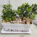 시각장애인의 그림책을 활용한 웃음치료 | 장애인 스트레스 해소 프로그램, 장애인을 위한 힐링 공간, 향기나는 정원 만들기 울산 부산 김해 양산...