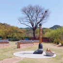 마비정 누리길 | 남평문씨세거지 대구 달서구 가볼만한곳 고풍스런 포토존