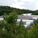 용종농장 이미지