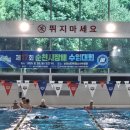 제17회 순천시장배 수영대회 이미지