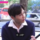 설레인 이미지