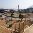 대룡조경 이미지