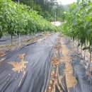 (주)방아다리 이미지