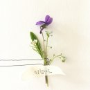 2024.2.2금욜.따뜻한날씨 [ 오전부터 부산하게 준비...srt동대구까지 예약다시성공+대구팸♡행크친구들...