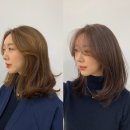 벌스헤어 이미지
