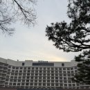 힐튼호텔 경주 | 6개월아기랑 힐튼호텔 경주 후기