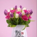 행운 이미지
