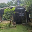 박터진흥부네 이미지