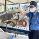 수상조종면허시험장 이미지